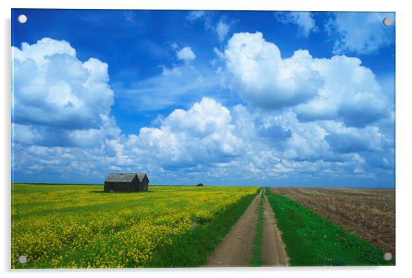 road through farmland Acrylic by Dave Reede