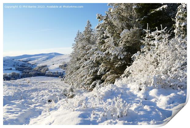Winter in Glen Brown Print by Phil Banks