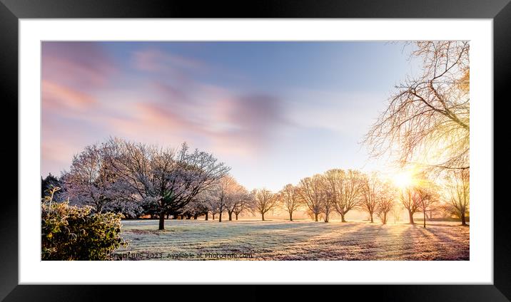 Amazing winter sunrise in Norfolk England trees Framed Mounted Print by Simon Bratt LRPS