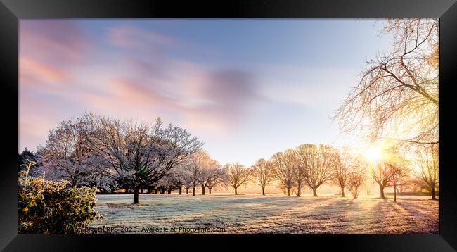 Amazing winter sunrise in Norfolk England trees Framed Print by Simon Bratt LRPS