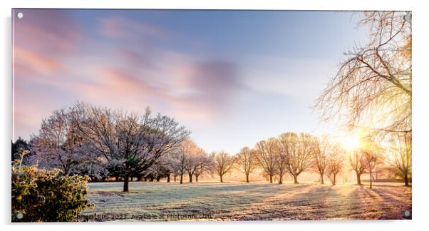 Amazing winter sunrise in Norfolk England trees Acrylic by Simon Bratt LRPS