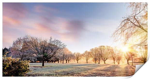 Amazing winter sunrise in Norfolk England trees Print by Simon Bratt LRPS