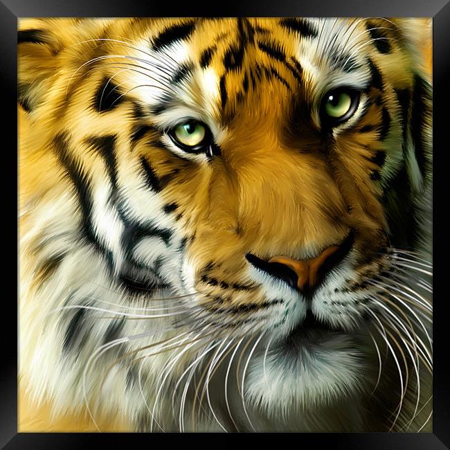 Sumatran Tiger Close Up Framed Print by Julie Hoddinott