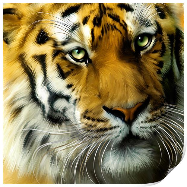 Sumatran Tiger Close Up Print by Julie Hoddinott