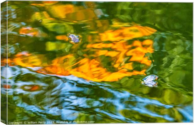 Floral Leaves Orange Green Water Reflection Abstract Habikino Os Canvas Print by William Perry