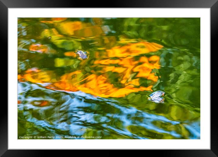 Floral Leaves Orange Green Water Reflection Abstract Habikino Os Framed Mounted Print by William Perry