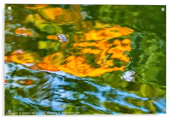Floral Leaves Orange Green Water Reflection Abstract Habikino Os Acrylic by William Perry