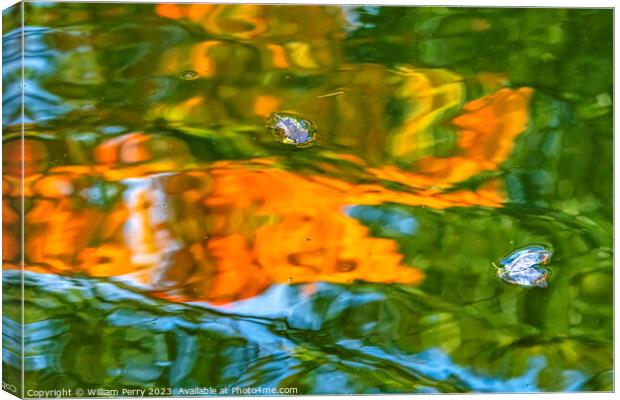 Flower Petals Orange Green Water Reflection Abstract Habikino Os Canvas Print by William Perry