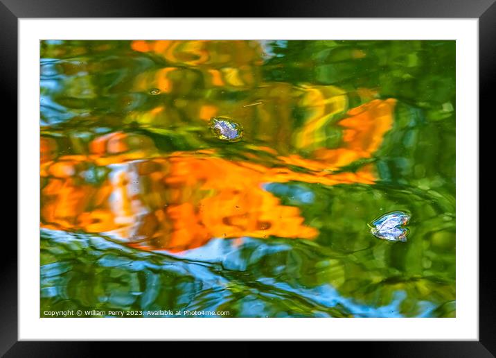 Flower Petals Orange Green Water Reflection Abstract Habikino Os Framed Mounted Print by William Perry