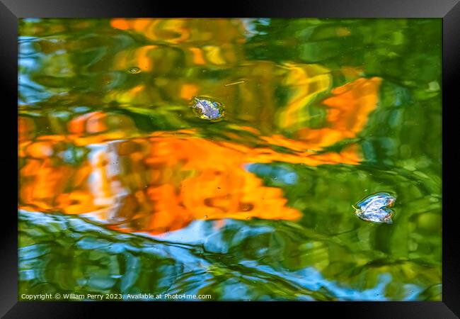 Flower Petals Orange Green Water Reflection Abstract Habikino Os Framed Print by William Perry