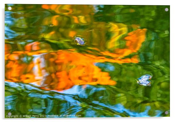Flower Petals Orange Green Water Reflection Abstract Habikino Os Acrylic by William Perry
