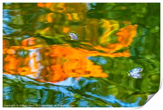 Flower Petals Orange Green Water Reflection Abstract Habikino Os Print by William Perry