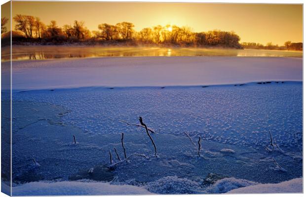 winter along the Red River Canvas Print by Dave Reede
