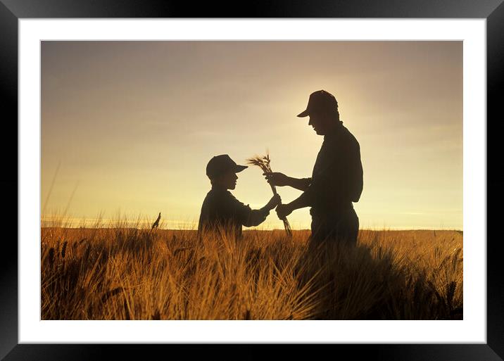 father and son examine maturing barley crop Framed Mounted Print by Dave Reede