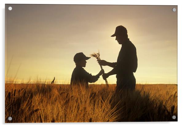 father and son examine maturing barley crop Acrylic by Dave Reede