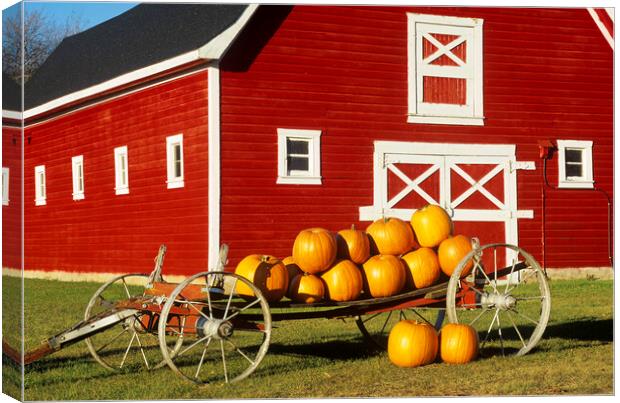 wagon with pumpkins next to red barn Canvas Print by Dave Reede