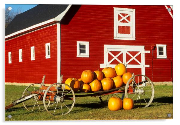 wagon with pumpkins next to red barn Acrylic by Dave Reede