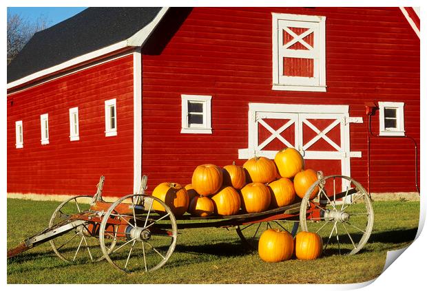 wagon with pumpkins next to red barn Print by Dave Reede