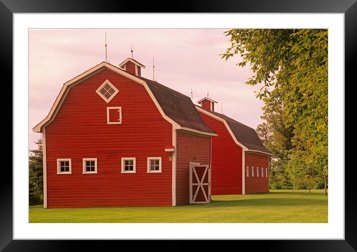 red barns Framed Mounted Print by Dave Reede