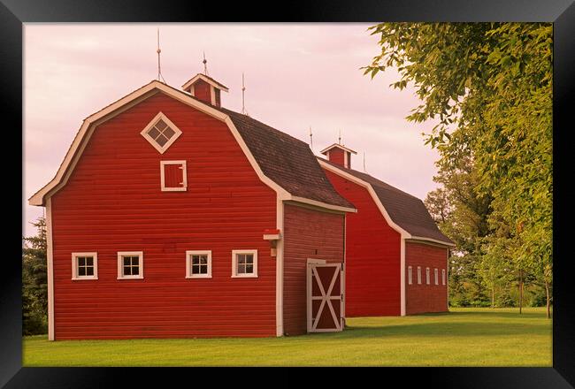 red barns Framed Print by Dave Reede