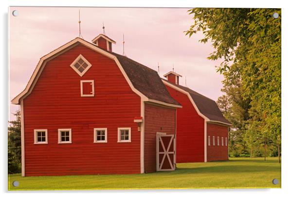 red barns Acrylic by Dave Reede