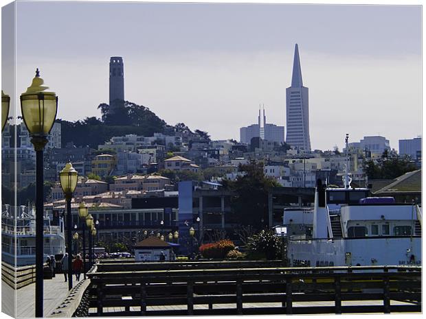 SAN FRANCISCO HILL Canvas Print by radoslav rundic