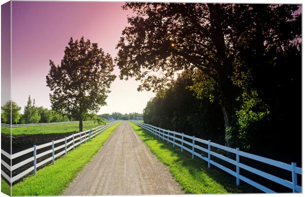 country road  Canvas Print by Dave Reede