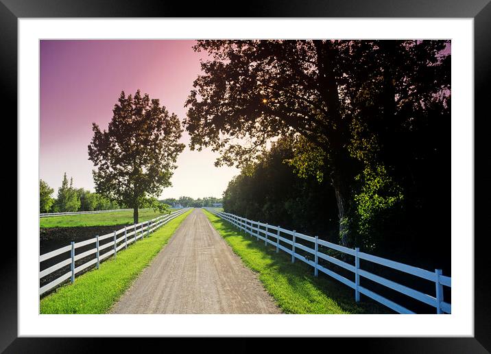 country road  Framed Mounted Print by Dave Reede