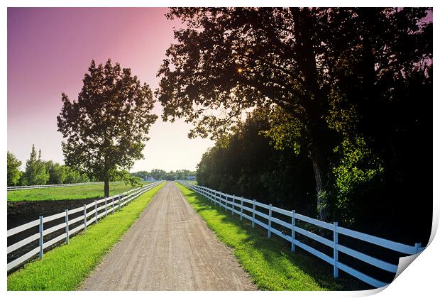 country road  Print by Dave Reede