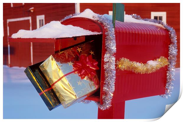 gifts in Mailbox Print by Dave Reede