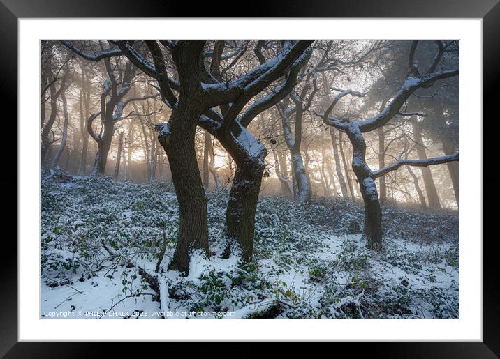 Fighting trees  987 Framed Mounted Print by PHILIP CHALK