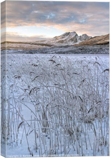 Blaven and Frosted Reeds in Winter Isle of Skye Canvas Print by Barbara Jones