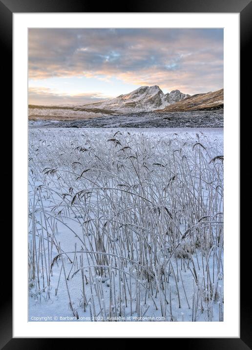 Blaven and Frosted Reeds in Winter Isle of Skye Framed Mounted Print by Barbara Jones