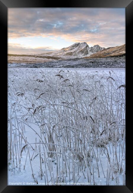 Blaven and Frosted Reeds in Winter Isle of Skye Framed Print by Barbara Jones