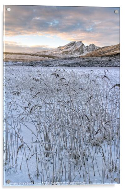 Blaven and Frosted Reeds in Winter Isle of Skye Acrylic by Barbara Jones