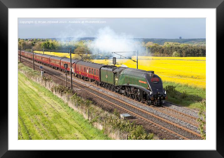 A4 pacific No. 60009 Union of South Africa Framed Mounted Print by Bryan Attewell