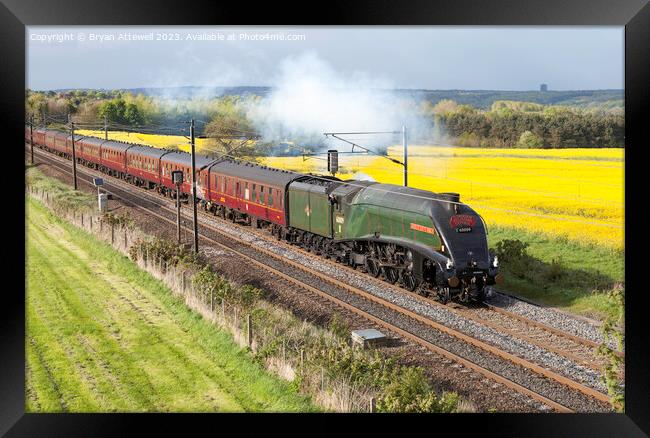 A4 pacific No. 60009 Union of South Africa Framed Print by Bryan Attewell