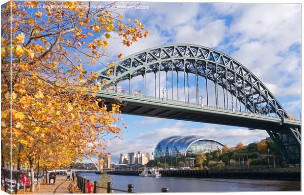 The Tyne bridge in autumn Canvas Print by Bryan Attewell