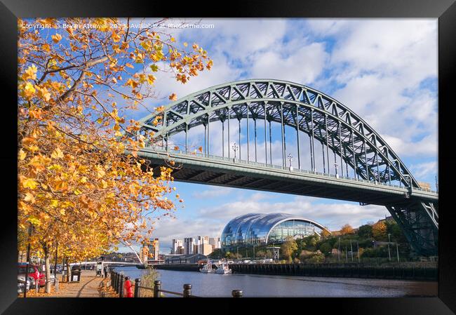 The Tyne bridge in autumn Framed Print by Bryan Attewell