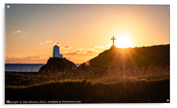 Sunset on llandwyn Island , ISle of Anglesey  Acrylic by Gail Johnson