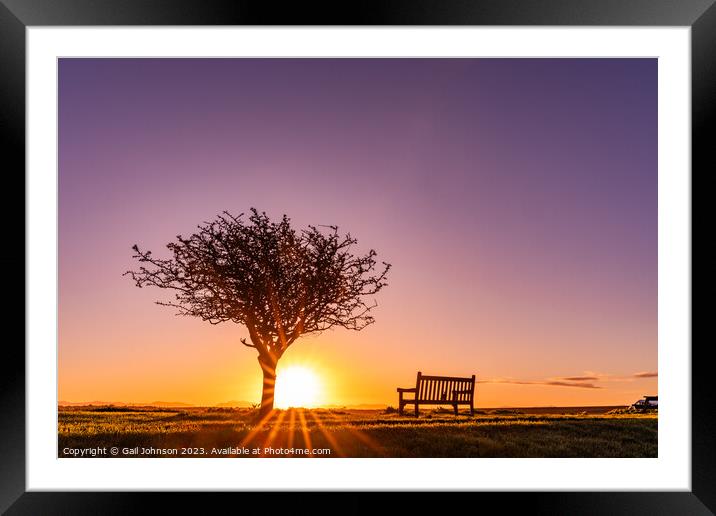 Sunrise over Penrhos nature park Angelsey Framed Mounted Print by Gail Johnson