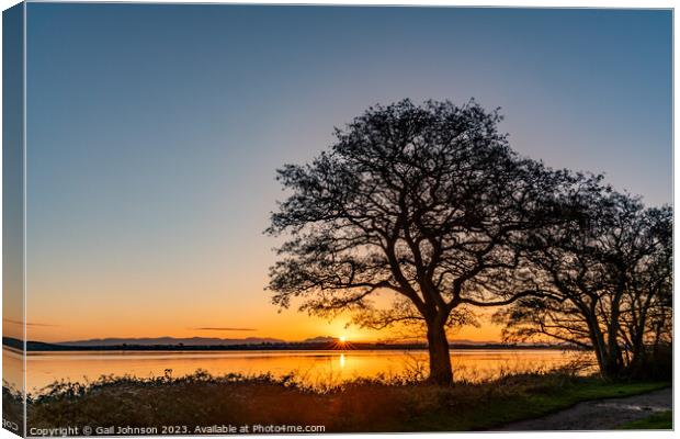 Sunrise over Penrhos nature park Angelsey Canvas Print by Gail Johnson