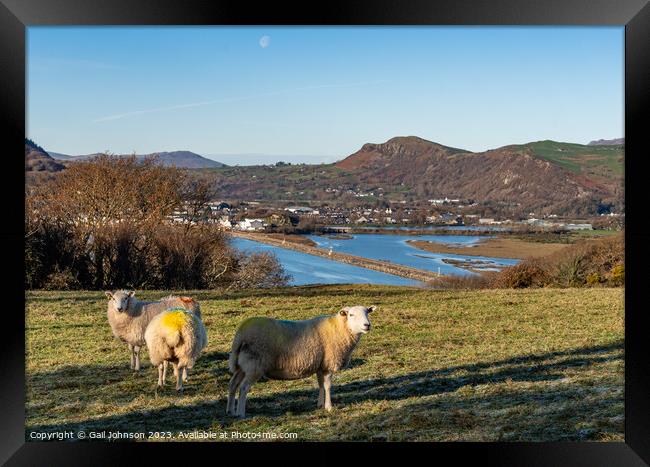 Views around Porthmadog countryside north Wales uk Framed Print by Gail Johnson