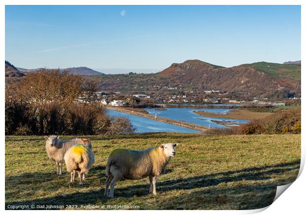 Views around Porthmadog countryside north Wales uk Print by Gail Johnson
