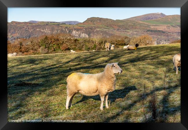 Views around Porthmadog countryside north Wales uk Framed Print by Gail Johnson