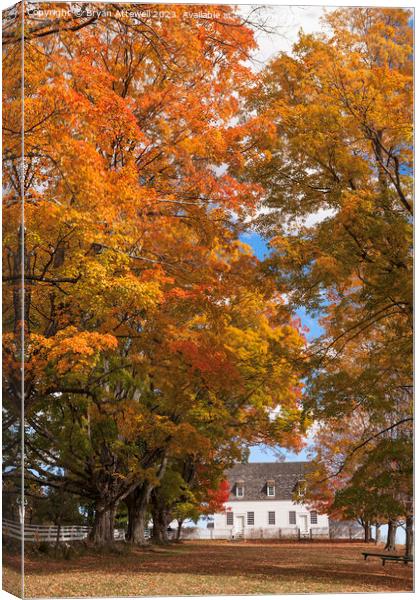 Shaker meeting house in Autumn Canvas Print by Bryan Attewell