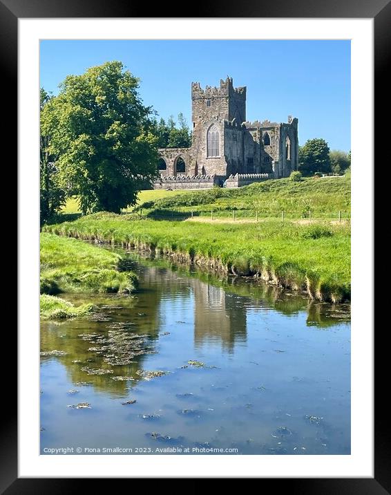 Tintern Abbey, Ireland Framed Mounted Print by Fiona Smallcorn