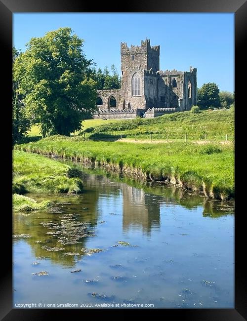 Tintern Abbey, Ireland Framed Print by Fiona Smallcorn