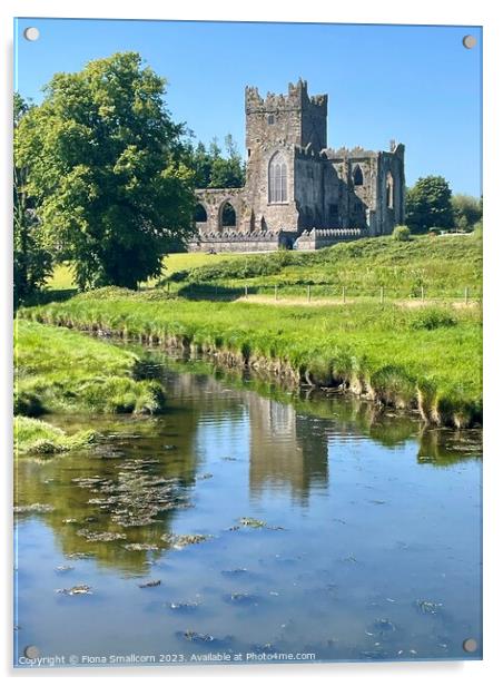 Tintern Abbey, Ireland Acrylic by Fiona Smallcorn