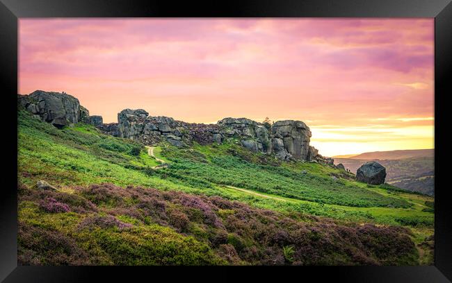 Cow and Calf Red Sky Panorama Framed Print by Paul Grubb